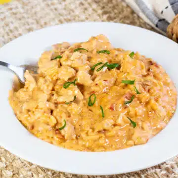 Wide image of bacon & chicken risotto.