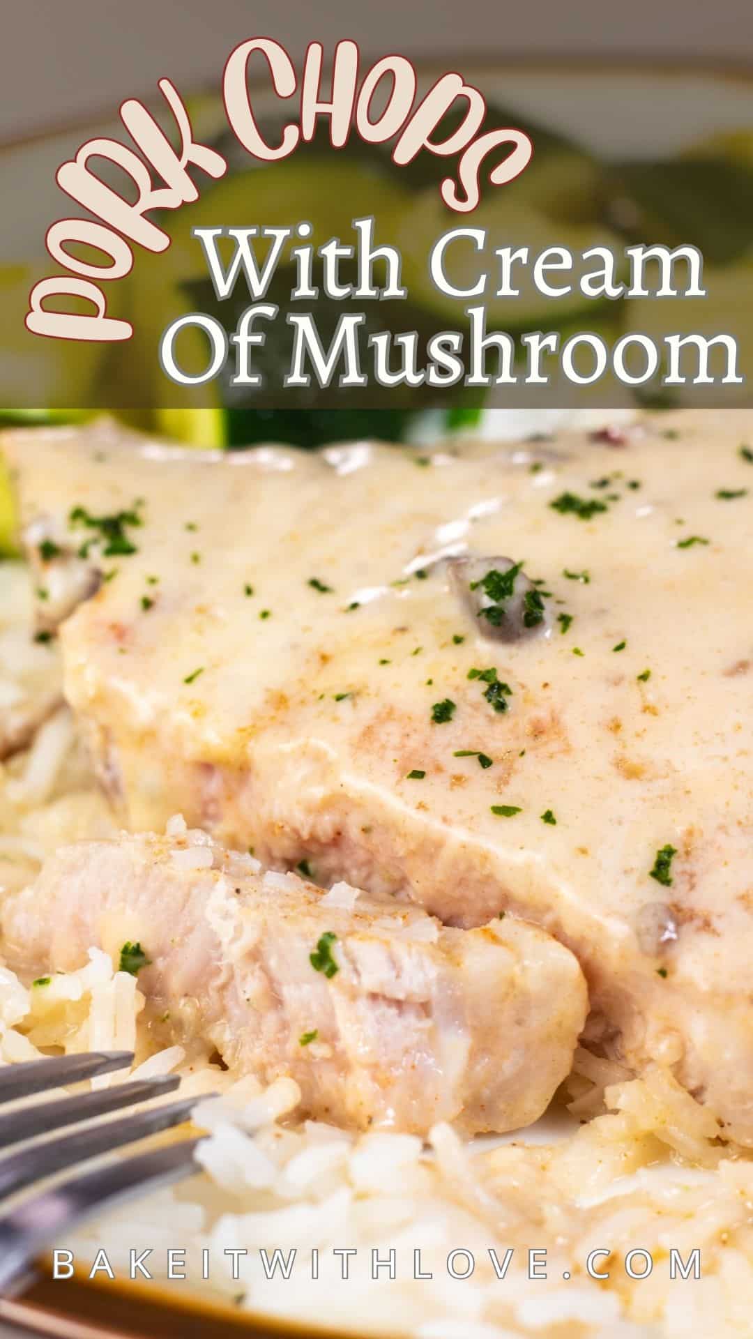 Cream of Mushroom Pork Chops: A Quick 30-Minute Dinner Recipe