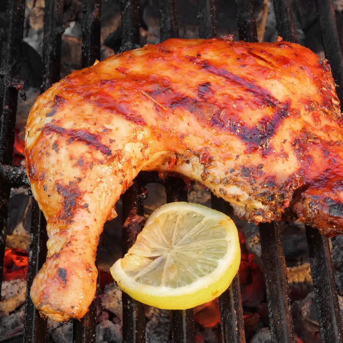 Square image of grilled chicken.
