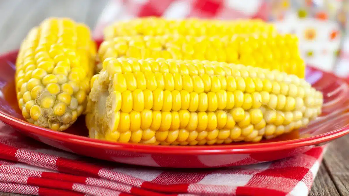 Wide image of corn on the cob cooked from frozen.