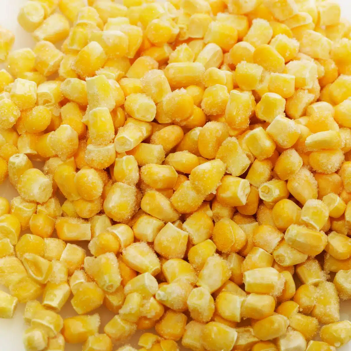 Square image of frozen corn.