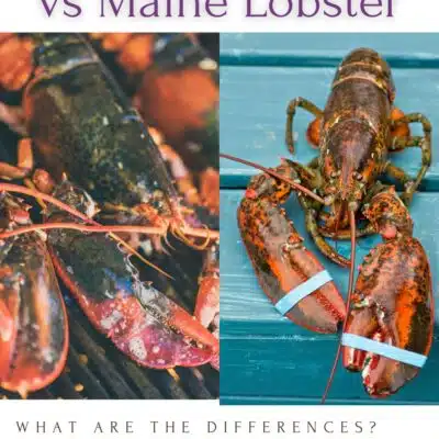 Pin split image with text showing 2 different lobsters.
