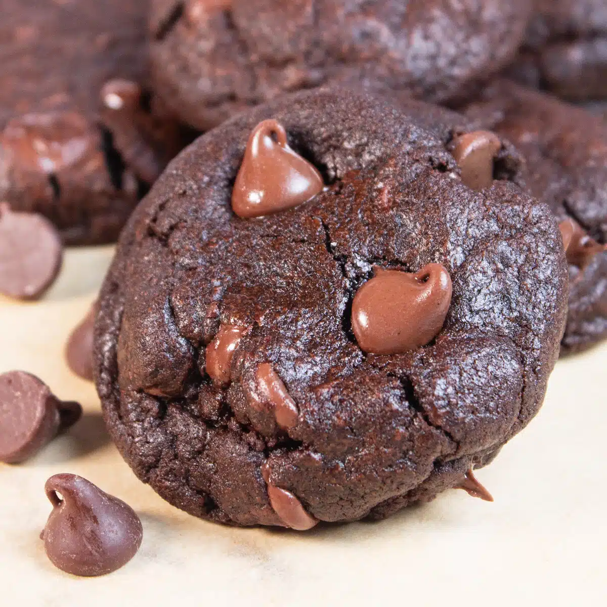 Square image of double chocolate chip cookies.