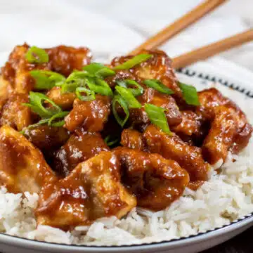 Wide image of peanut butter chicken over rice.