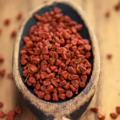 Square image of annatto seeds.