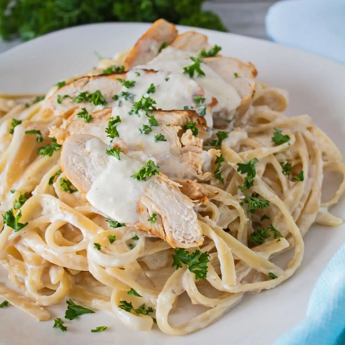 Carbonara vs alfredo sauce guide illustrated with a square image of grilled chicken fettuccine alfredo on white plate.