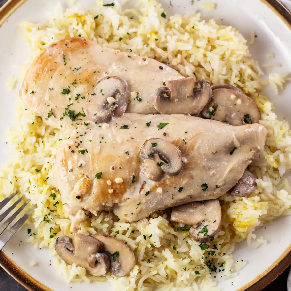 Kvadratna slika piletine s gljivama preko riže na tanjuru.