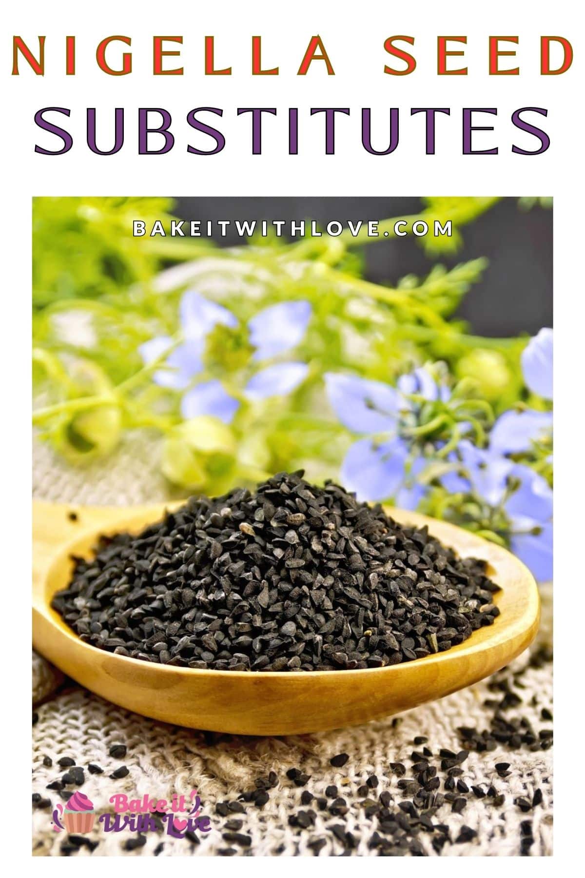 best-nigella-seed-substitute-10-great-alternatives