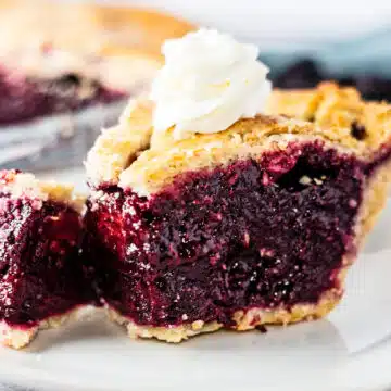 Wide image of blackberry pie slice.