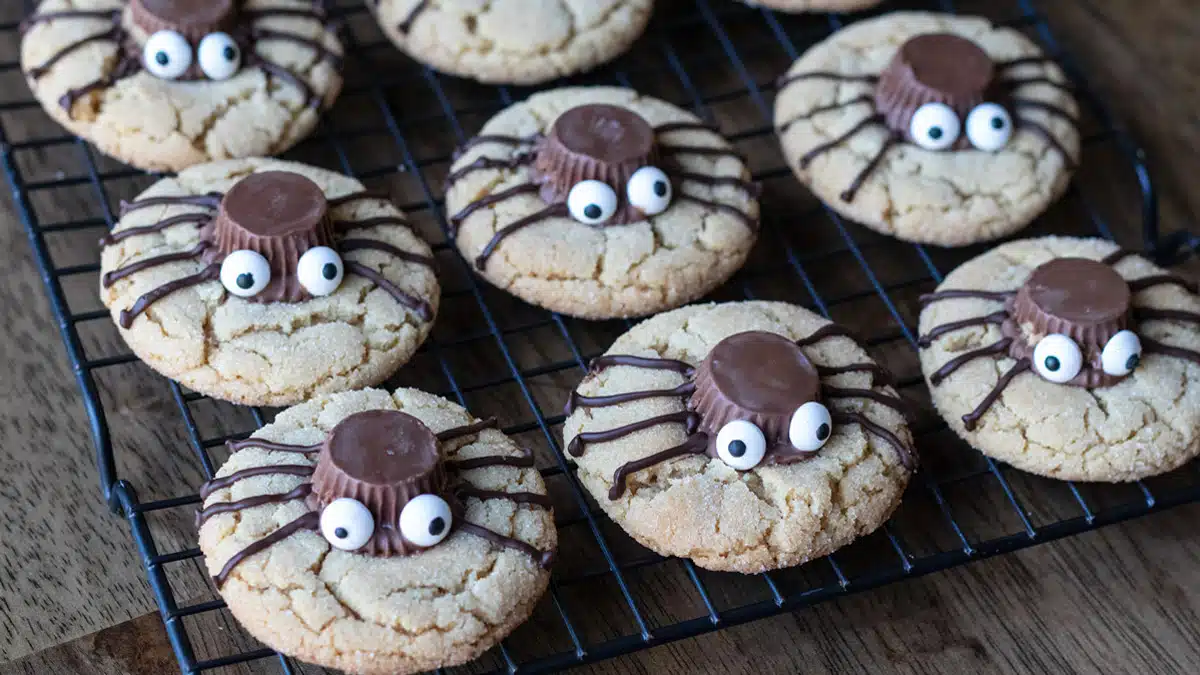 Wide image of Halloween peanut butter spider cookies