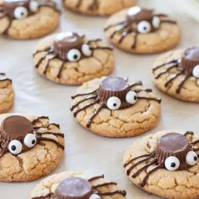 Firkantet billede af Halloween jordnøddesmør edderkop cookies