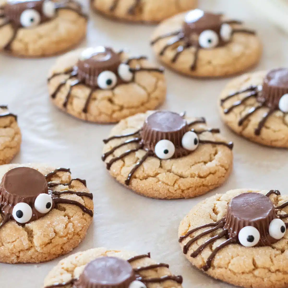 Square image of Halloween peanut butter spider cookies