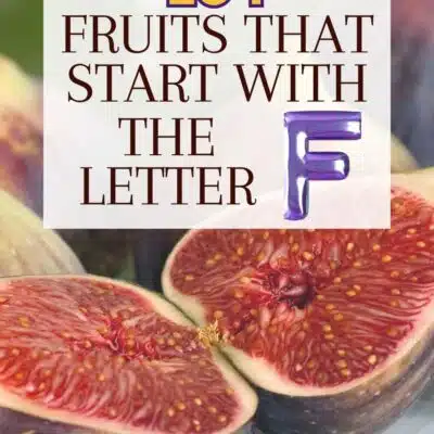Pin for fruits that start with the letter F. Featuring a fig.