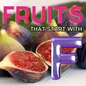 Fruits that start with the letter F. Featuring a fig.