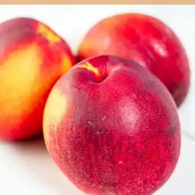 Pin image with text showing nectarines.