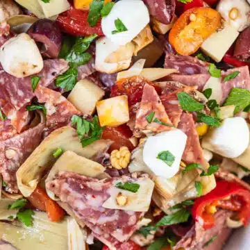 Delicious antipasto salad from a closeup overhead view before serving.