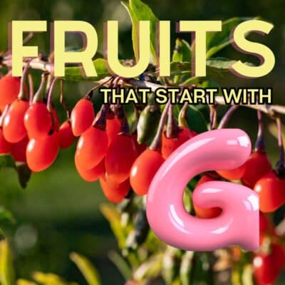 Imagen cuadrada para frutas que empiezan con la letra G.