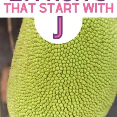 Pin image with text for fruits that start with the letter J, featuring a jackfruit.