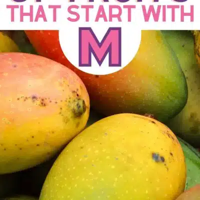 Pin image for fruits that start with the letter M, featuring mangoes.