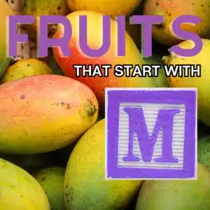 Square image for fruits that start with the letter M, featuring mangoes.