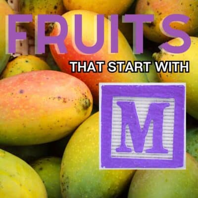 Квадратно изображение за плодове, които започват с буквата М, с манго.