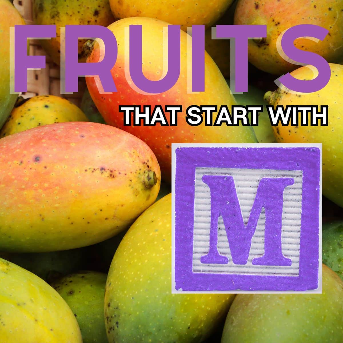 Vierkante afbeelding voor fruit dat begint met de letter M, met mango's.