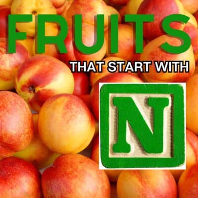 Imagen cuadrada de frutas que comienzan con N, con nectarinas.