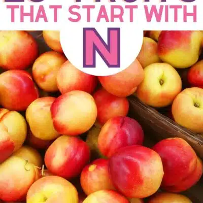 Pin image for fruits that start with N, featuring nectarines.