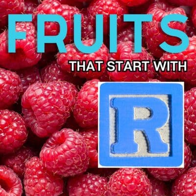 Square image for fruits that start with the letter R, featuring raspberry.