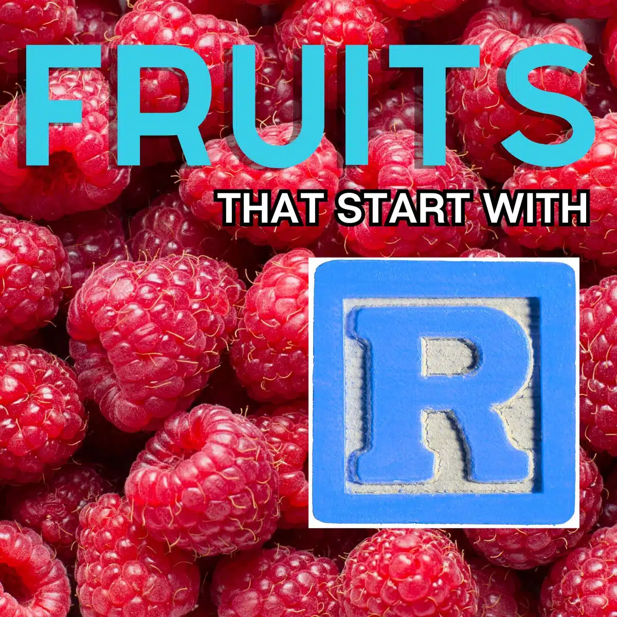 Vierkante afbeelding voor fruit dat begint met de letter R, met framboos.