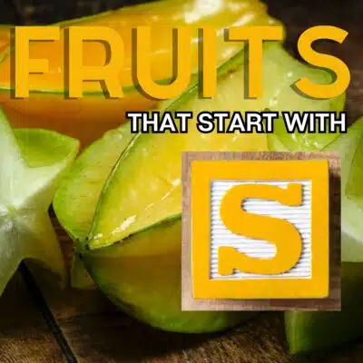 Square image for fruits that start with the letter S, featuring starfruit.