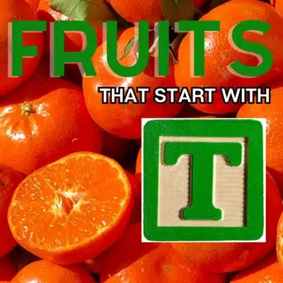 Square image for fruits that start with the letter T, featuring tangerines.