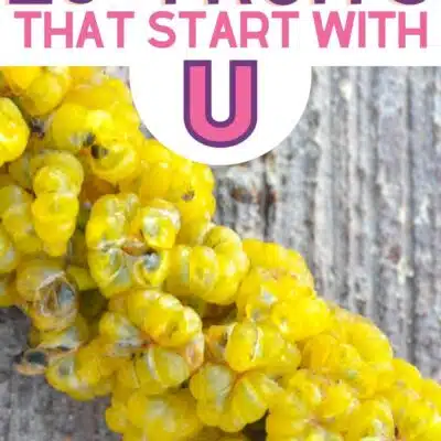 Pin image for fruits that start with the letter U, featuring Umbra fruit.