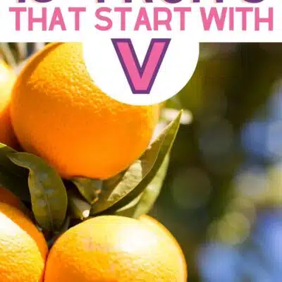 Pin image for fruits that start with the letter V, featuring Valencia fruit.