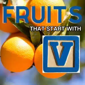Square image for fruits that start with the letter V, featuring Valencia fruit.