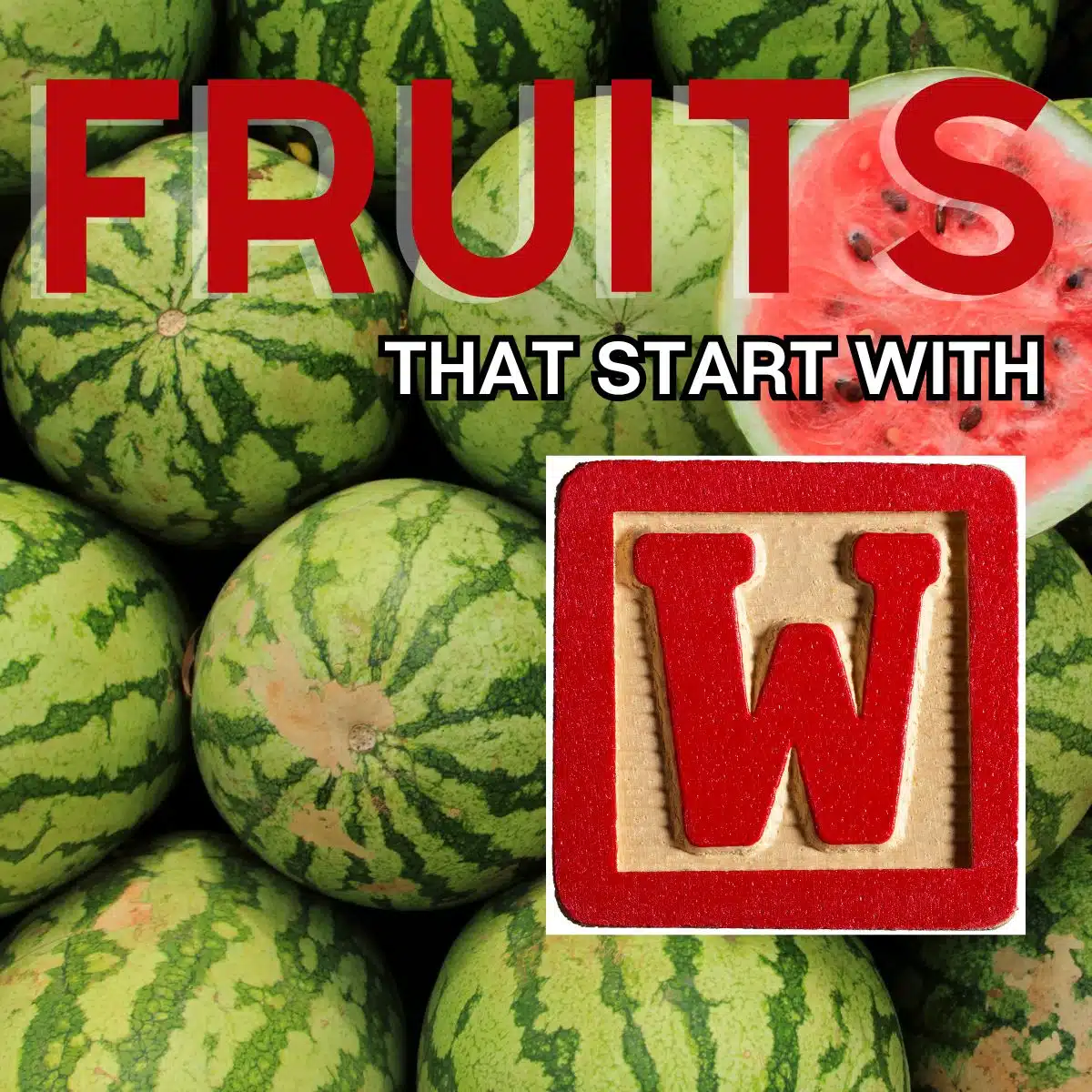 Fyrkantig bild för frukter som börjar med bokstaven w, med vattenmelon.