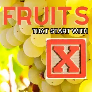 Square image for fruits that start with the letter x, featuring Xarel-lo grapes.