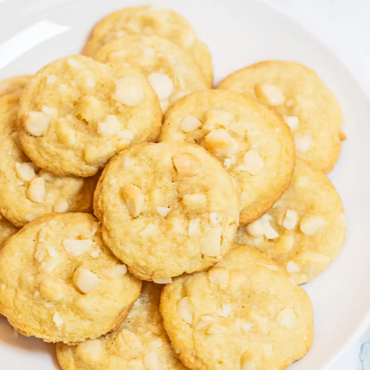 Soğuduktan sonra beyaz tabakta servis edilen en iyi macadamia fındıklı kurabiye tarifi.