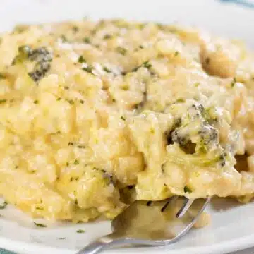Wide front view of the plated crockpot cheesy chicken broccoli rice casserole.