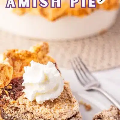 Best shoofly pie recipe pin with a closeup of the sliced pie and text header.