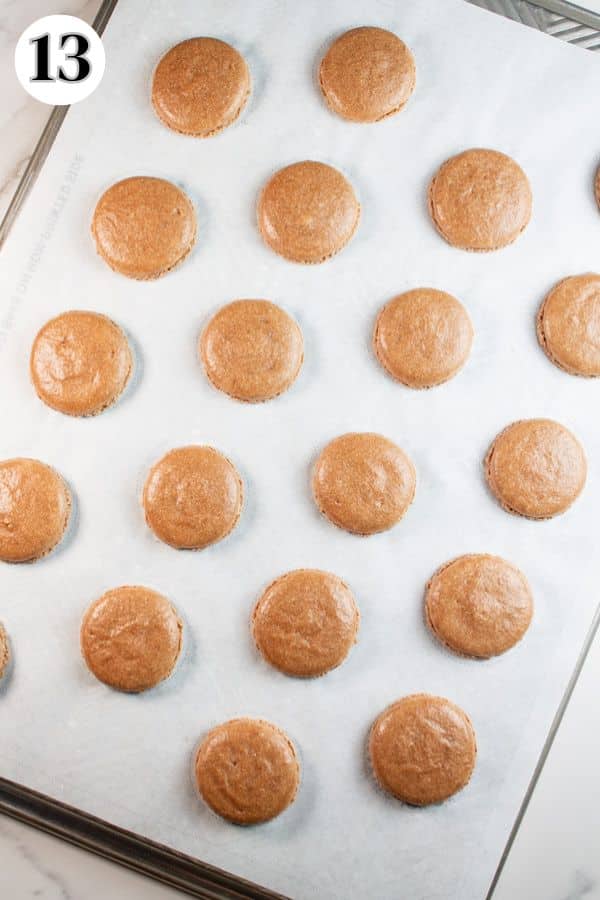 Chocolate macarons process photo 13 baked macaron shells.