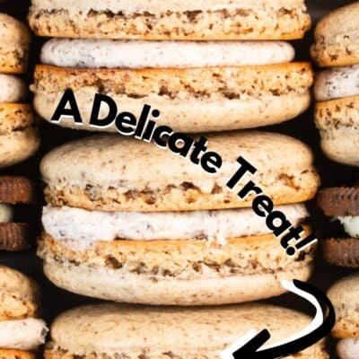 A complete, ultimate beginners guide to making macarons pin with text title header with stacked macarons image.