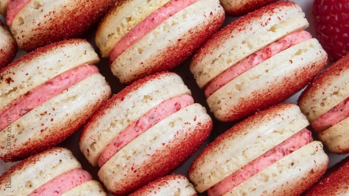 Wide overhead of the lined up raspberry macarons, with the lines staggered showing the fruity raspberry filling.