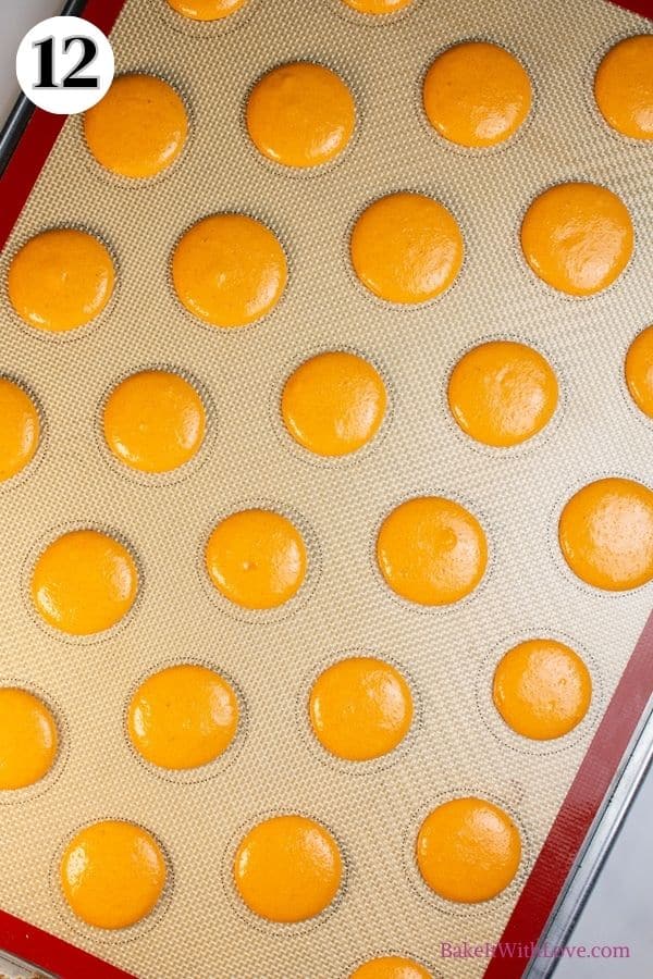 Pumpkin spice macarons process photo 12 let the macaron shells rest until no longer tacky.