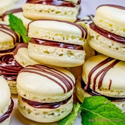 Square image showing a pile of mint chocolate macarons with mint leaves.