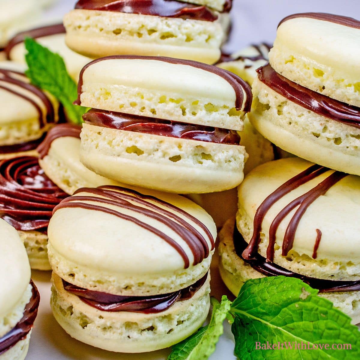 Square image showing a pile of mint chocolate macarons with mint leaves. 