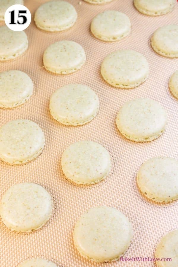 Pistachio macarons process photo 15 baked macaron shells on the baking sheet.